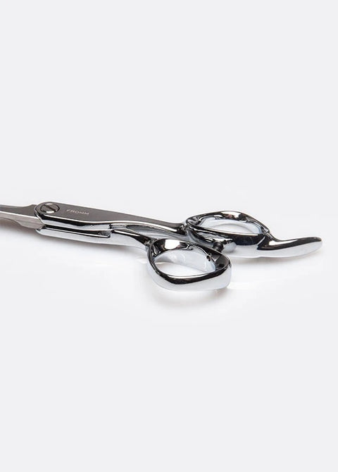 Fromm Explore 5.75" Shear - Silver