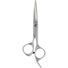 Load image into Gallery viewer, Fromm Transform 5.25&quot; Shear Silver
